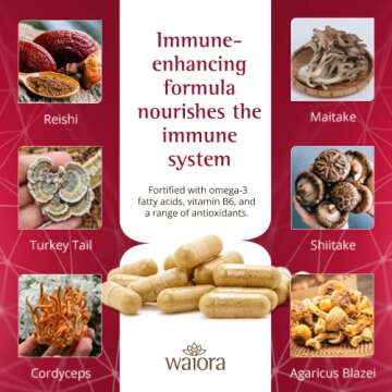 Waiora MegaDefense Mushroom Capsules, Supplement for Daily Wellness, 6 Mushroom Supplement: Reishi, Turkey Tail, Cordyceps, Maitake, Agaricus & Shiitake, Non-GMO (4 Bottles, 60 Veggie Caps ea.)