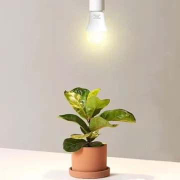 Wiyifada Full Spectrum Grow Light Bulbs for Indoor Plants