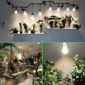 Wiyifada Full Spectrum Grow Light Bulbs for Indoor Plants