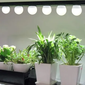 Wiyifada Full Spectrum Grow Light Bulbs for Indoor Plants