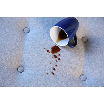 ProtectME Battery Sprayer for Ultimate Fabric Protection