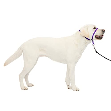 PetSafe Gentle Leader No-Pull Dog Headcollar - Ultimate Solution for Stress-Free Walks