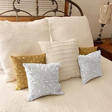 Light & Pro Silver Throw Pillow - Exquisite Decorative Cover