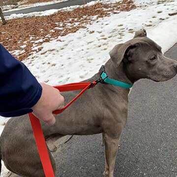 PACKT - Endeavor Double Handle Dog Leashes - Waterproof, Stinkproof, American Made - Plum - 6 Ft.| Waterproof Dog Leash for Large Dogs | 6 foot Training Leashes for medium dogs | Purple Dog leash