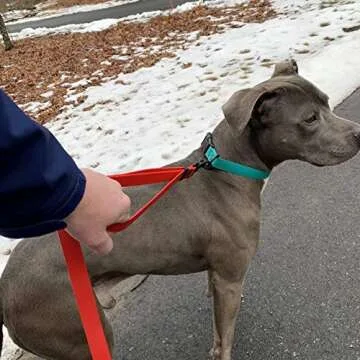 PACKT - Endeavor Double Handle Dog Leashes - Waterproof, Stinkproof, American Made - Plum - 6 Ft.| Waterproof Dog Leash for Large Dogs | 6 foot Training Leashes for medium dogs | Purple Dog leash