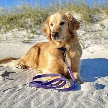 PACKT - Endeavor Double Handle Dog Leashes - Waterproof, Stinkproof, American Made - Plum - 6 Ft.| Waterproof Dog Leash for Large Dogs | 6 foot Training Leashes for medium dogs | Purple Dog leash