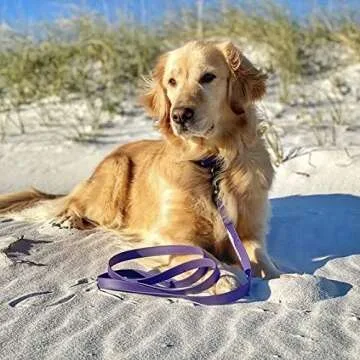 PACKT - Endeavor Double Handle Dog Leashes - Waterproof, Stinkproof, American Made - Plum - 6 Ft.| Waterproof Dog Leash for Large Dogs | 6 foot Training Leashes for medium dogs | Purple Dog leash