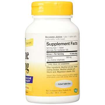 NATURE'S WAY Choline 500mg - Supports Brain Health & Clarity