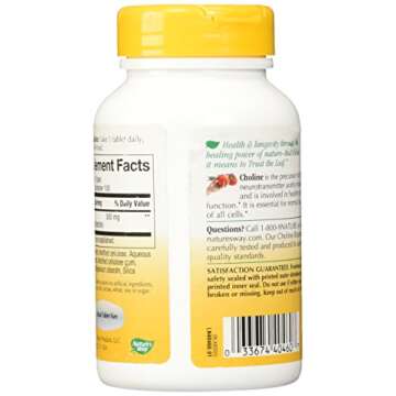 Nature's Way Choline 500mg for Memory & Focus