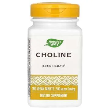 Nature's Way Choline 500mg for Memory & Focus