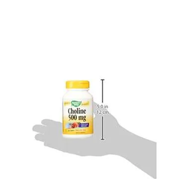 Nature's Way Choline 500mg for Memory & Focus