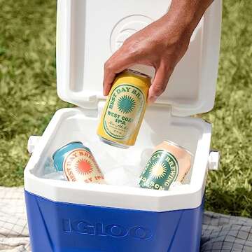 Best Day Brewing West Coast IPA Non-Alcoholic Craft Beer - 12 Pack - Premium Ingredients for Full Flavor - Low Carb & Low Calorie (12 fl oz cans)