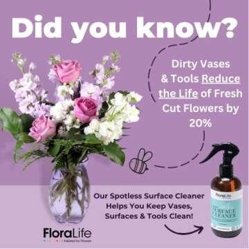 Floralife Surface Cleaner - Gentle Multi-Surface Cleaner Spray for Flower Vases and Tools - 8oz