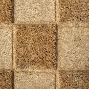 Creative Co-Op Engraved Coir Doormat | Stylish & Sturdy