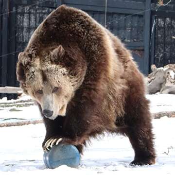 BearVault BV475 Trek Portable Bear Resistant Canister