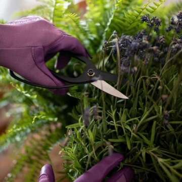 Garden Flower Scissors, Heirloom Butterfly Shears for Trimming Herbs, Flowers, Plants and Produce, Flower Scissors for Trimming Indoor- Ivy Market…