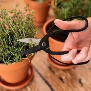Garden Flower Scissors, Heirloom Butterfly Shears for Trimming Herbs, Flowers, Plants and Produce, Flower Scissors for Trimming Indoor- Ivy Market…