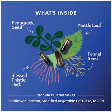 Motherlove More Milk Plus Lactation Support Capsules