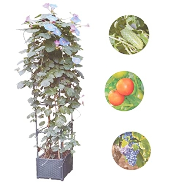 GREEN MOUNT Raised Garden Bed Planter with Trellis