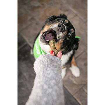 V-dog Dog Treats - Vegan Breathbone Teeth Cleaning Dental Bones - Fresh Breath - 8 Ounces - Minis - All Natural, Made in USA - 10 Bones - 3" Long - Easy to Digest