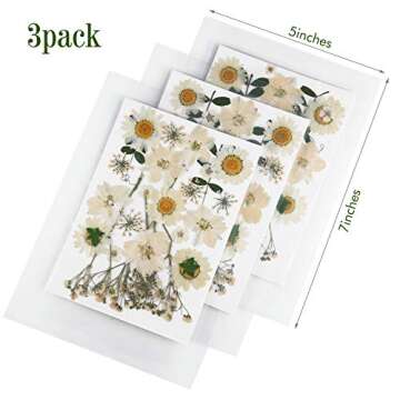 Nuanchu 81 Pieces Pressed Flowers for Resin Crafting and Gift Making