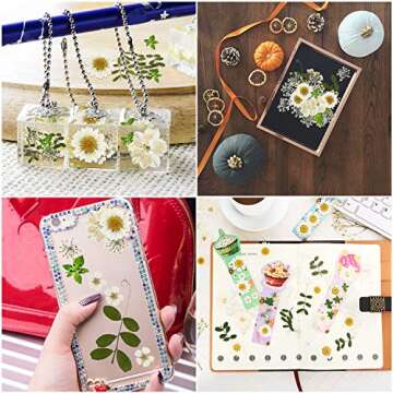 Nuanchu 81 Pieces Pressed Flowers for Crafts & Gifts