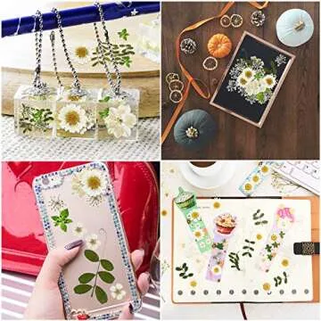 Nuanchu 81 Pieces Pressed Flowers for Crafts & Gifts