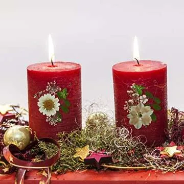 Nuanchu 81 Pieces Pressed Flowers for Crafts & Gifts