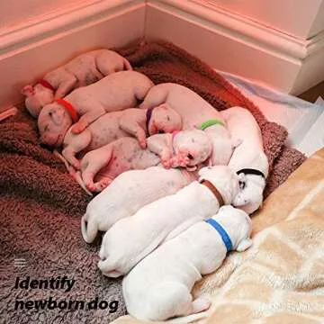 Puppy Whelping Collars - 15 Color Dog ID Bands