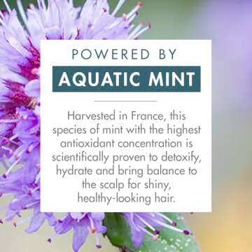 Klorane Detox Shampoo - Refresh and Shine for Hair