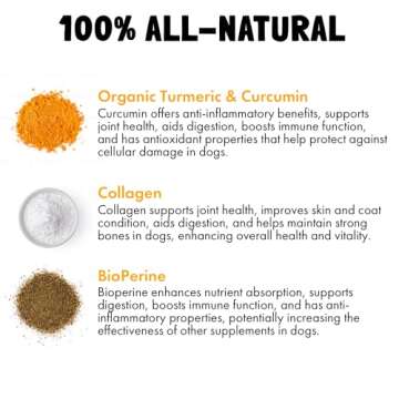 Turmeric Curcumin Hip & Joint Dogs Supplement Anti-Inflammatory Support for Arthritis & Mobility with Collagen & BioPerine Pain Relief Antioxidant Digestive Cardiovascular and Liver Health 120 Chews