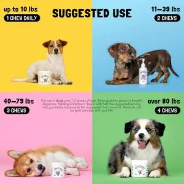 Turmeric Curcumin Hip & Joint Dogs Supplement Anti-Inflammatory Support for Arthritis & Mobility with Collagen & BioPerine Pain Relief Antioxidant Digestive Cardiovascular and Liver Health 120 Chews