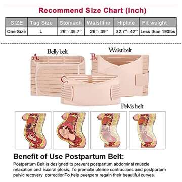 3 in 1 Postpartum Support Shapewear Slimming Girdle Recovery Belly/Waist/Pelvis Wrap Trimmer Belt for Postnatal, Pregnancy, Maternity, One Size