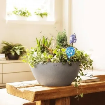 Durable Plant Watering Globes Set of 6 for Easy Care