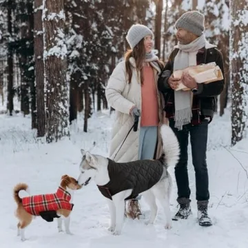 Kuoser Warm Dog Coat Waterproof Reversible Plaid Jacket
