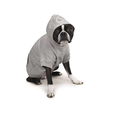 Zack & Zoey Basic Hoodie for Dogs - Cozy Comfort in Heather Gray