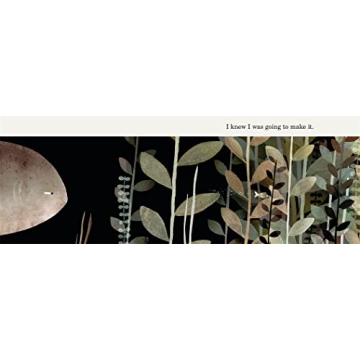 This Is Not My Hat - A Charming Children's Book