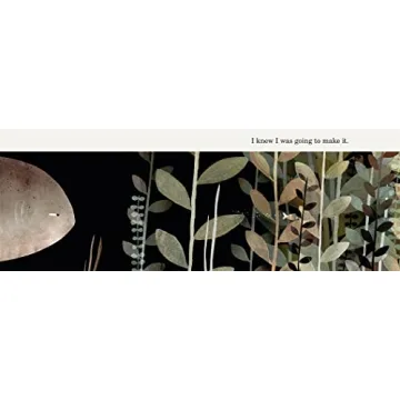 This Is Not My Hat - A Charming Children's Book