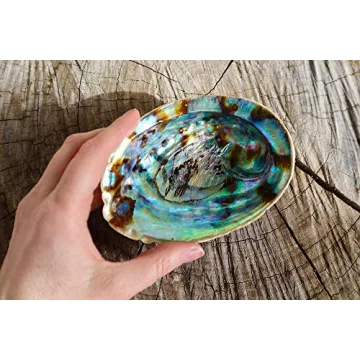 Large Abalone Shell for Smudging and Incense Use