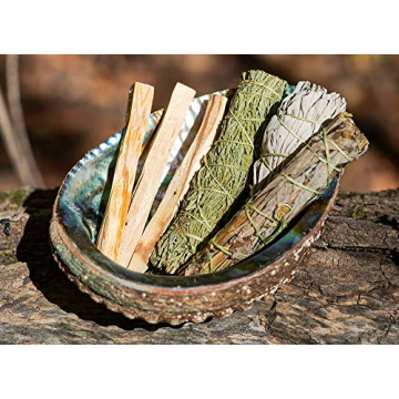 Large Abalone Shell for Smudging and Incense Use