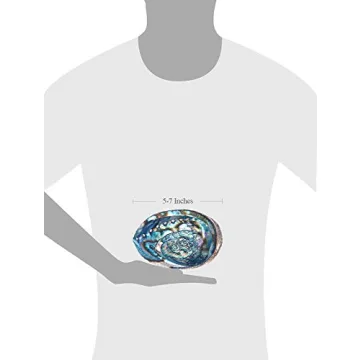 Large Abalone Shell for Smudging and Incense Use