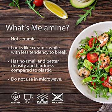 Bzyoo 12 Piece Melamine Dinnerware Set - Durable, Dishwasher Safe Plates and Bowls - Casual Dining, Parties, Purple Dish Set Reactive Purple Collection