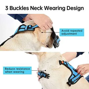 IVY&LANE No Pull Dog Harness for Small Dogs, Dog Vest Harness with Leash, Safety Belt and Storage Strap, Fully Adjustable Harness, 360° Reflective Strip, Soft Handle (Blue, XS)