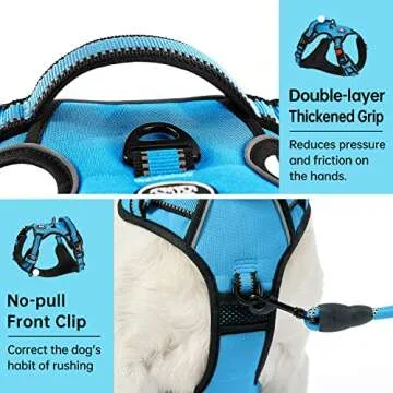 IVY&LANE No Pull Dog Harness for Small Dogs, Dog Vest Harness with Leash, Safety Belt and Storage Strap, Fully Adjustable Harness, 360° Reflective Strip, Soft Handle (Blue, XS)