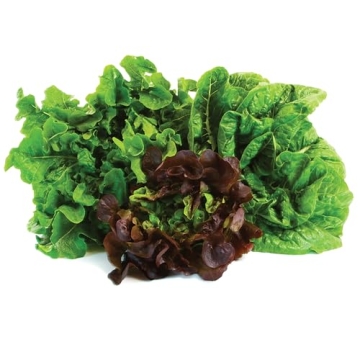 Jobe's Organic Blood Meal Fertilizer - 3 lbs for Healthy Greens