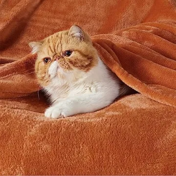 Bedsure Fleece Throw Blanket - Soft, Warm Orange Blanket