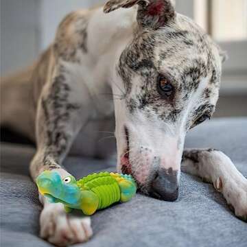 Anhozuo Super Chewer Dog Toy - Durable, Bacon Flavor Chew Toy for Large Breeds