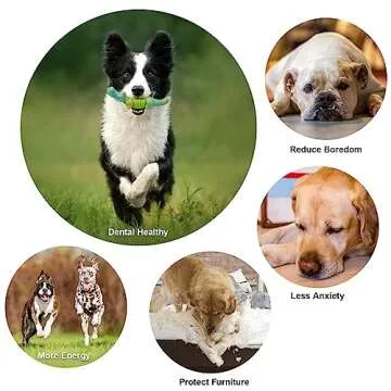 Durable Anhozuo Dog Toy for Aggressive Chewers