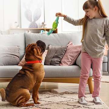 Durable Anhozuo Dog Toy for Aggressive Chewers