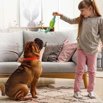 Durable Anhozuo Dog Toy for Aggressive Chewers